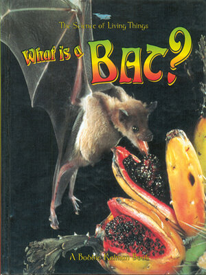 What is a Bat? - ebook